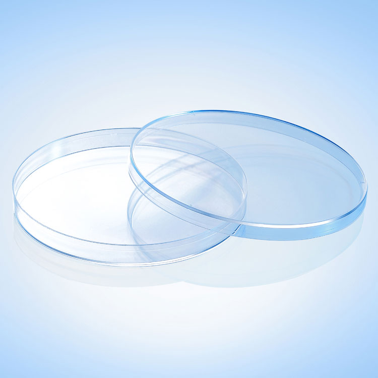 Different Size Petri Dish