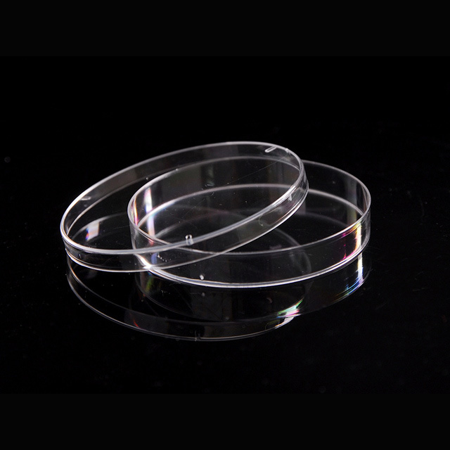 Different Sizes Of Petri Dish